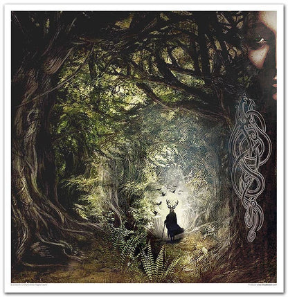 ITD: 12x12 inches paper pack AN UNDISCOVERED MAGIC WORLD