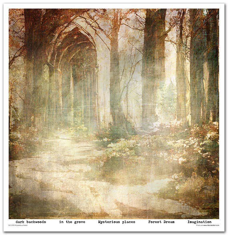 ITD: 12x12 inches paper pack MYSTERIOUS FOREST