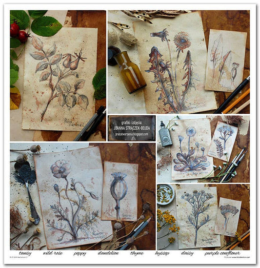 ITD: 12x12 inches paper pack HERBARIUM 2