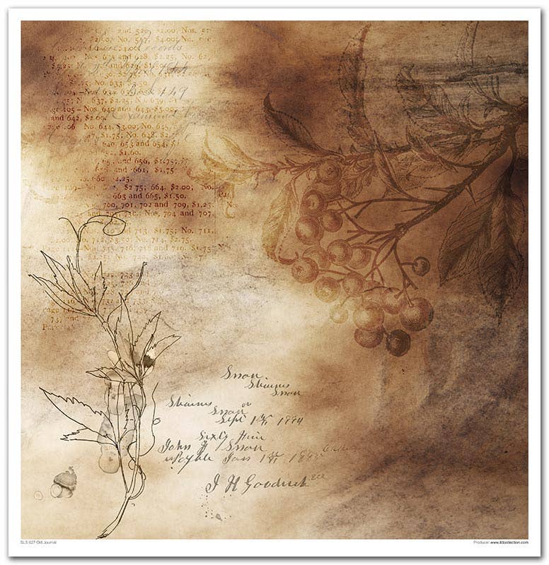 ITD: 12x12 inches paper pack OLD JOURNAL