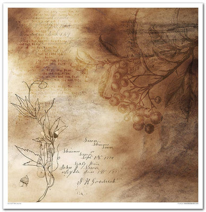 ITD: 12x12 inches paper pack OLD JOURNAL