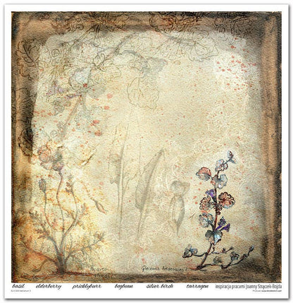 ITD: 12x12 inches paper pack HERBARIUM 2