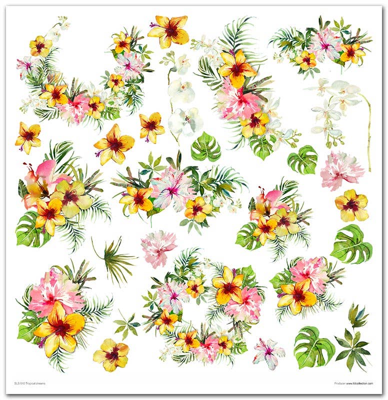 ITD: 12x12 inches paper pack TROPICAL DREAMS