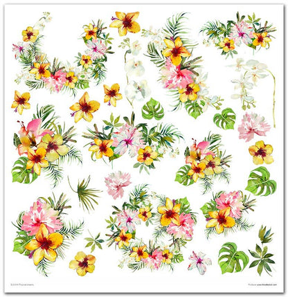 ITD: 12x12 inches paper pack TROPICAL DREAMS