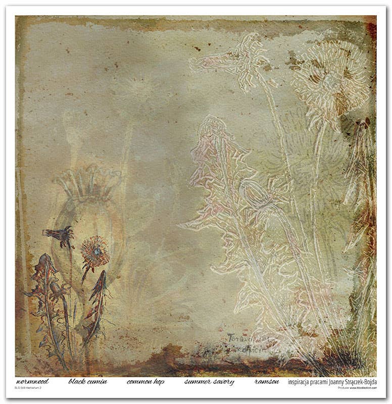ITD: 12x12 inches paper pack HERBARIUM 2