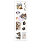 Prima Marketing: Bewitched – Sticker Roll – 15 designs x2 mt