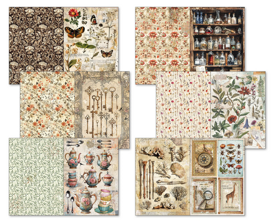 Ciao Bella: Cabinet of Curiosities A4 Junk Journal Ephemera Book