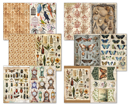 Ciao Bella: Cabinet of Curiosities A4 Junk Journal Ephemera Book