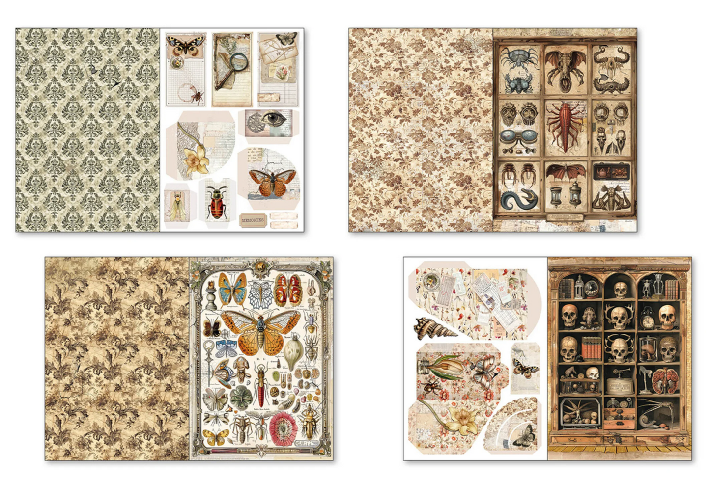 Ciao Bella: Cabinet of Curiosities A4 Junk Journal Ephemera Book