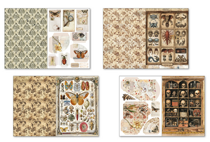 Ciao Bella: Cabinet of Curiosities A4 Junk Journal Ephemera Book