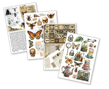 Ciao Bella: Cabinet of Curiosities A4 Junk Journal Ephemera Book