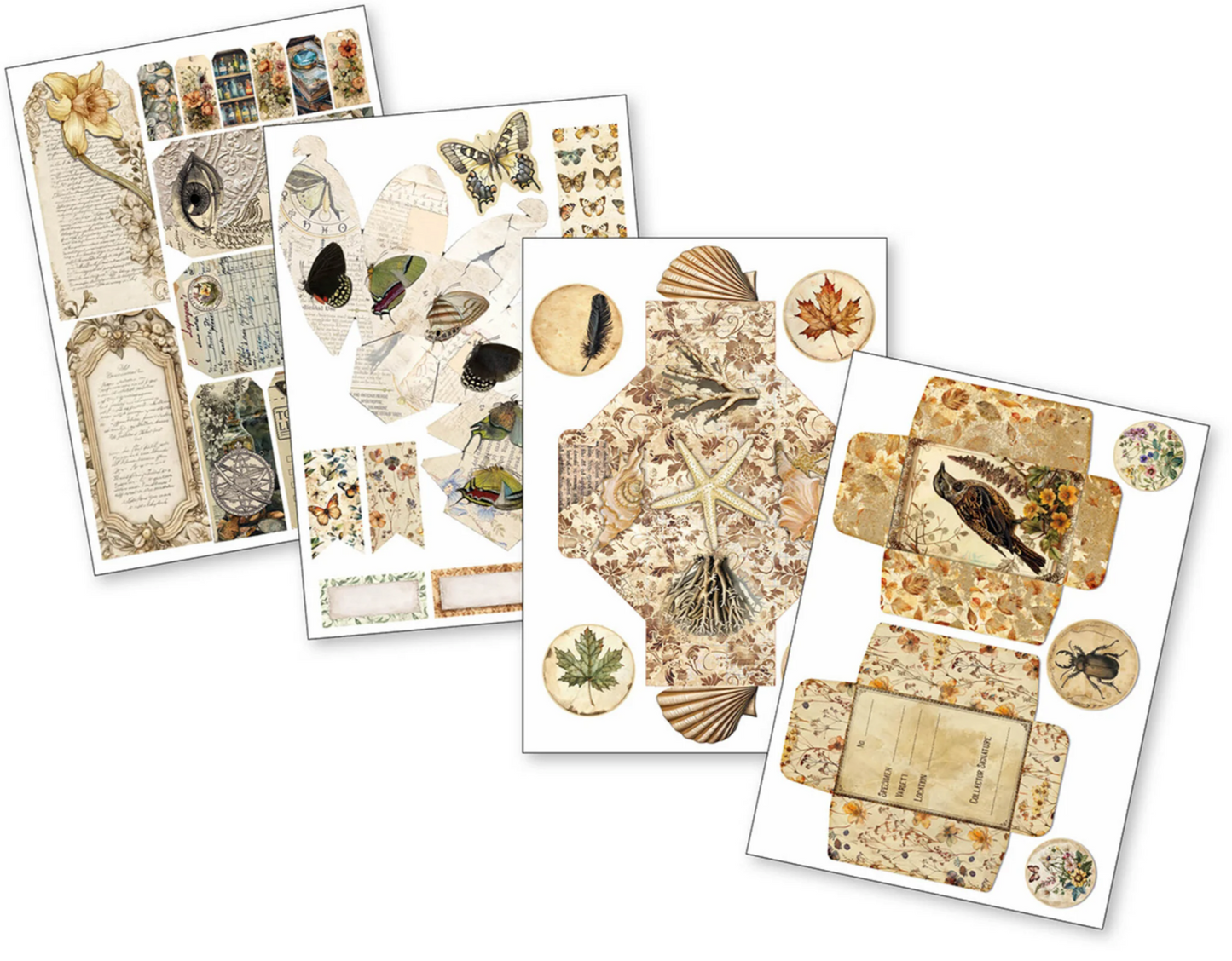 Ciao Bella: Cabinet of Curiosities A4 Junk Journal Ephemera Book