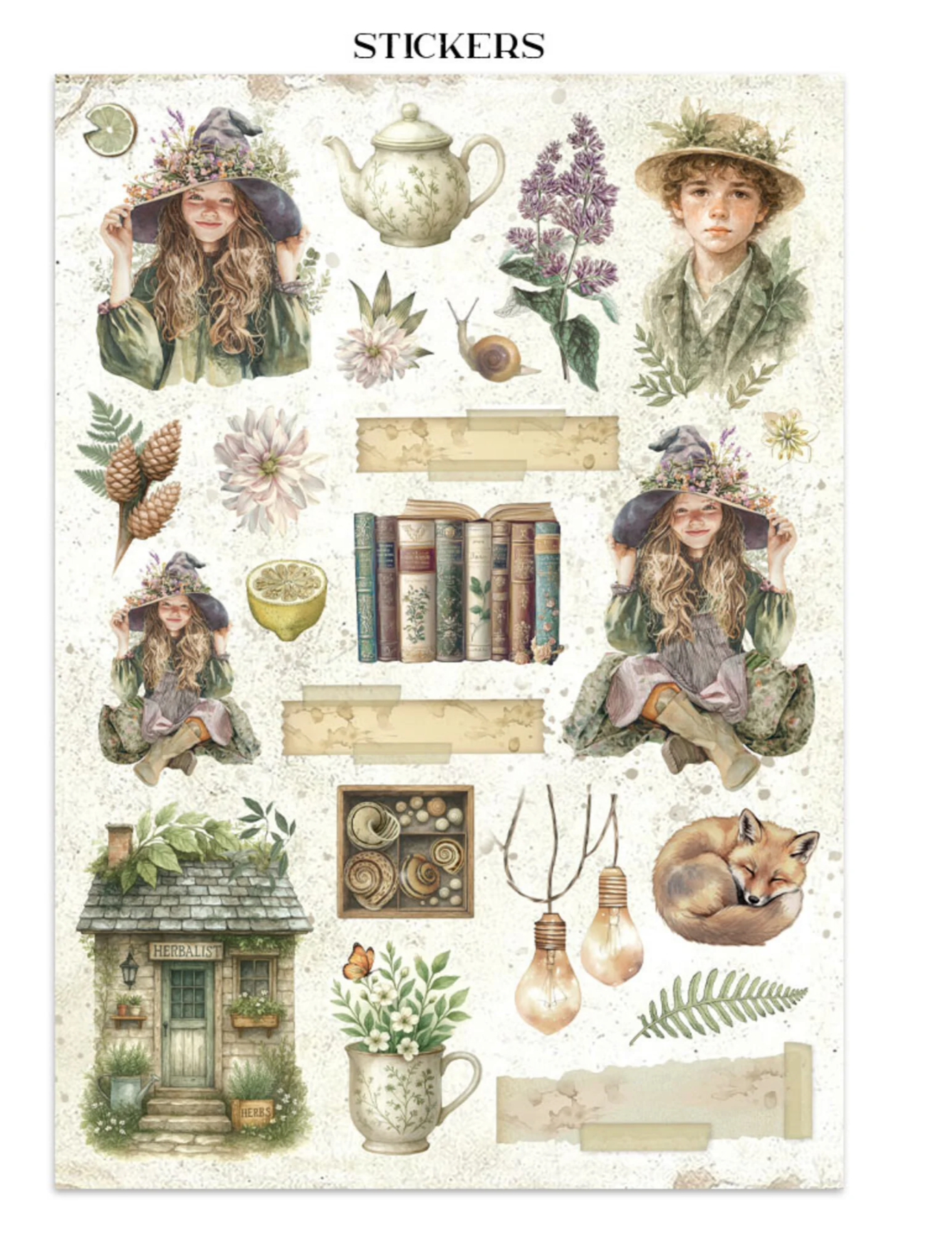 Stamperia: Herbarium Silvae Junk Journal Stickers, Backgrounds, Cut-Outs