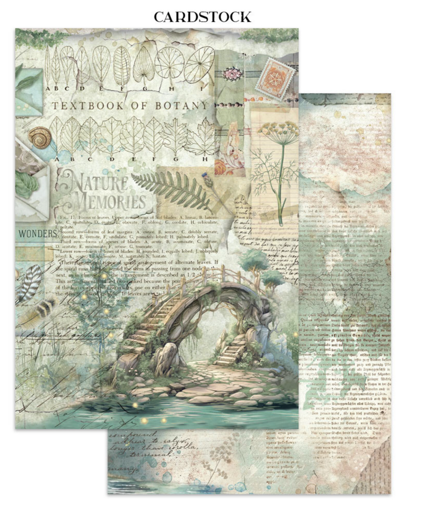 Stamperia: Herbarium Silvae Junk Journal Stickers, Backgrounds, Cut-Outs