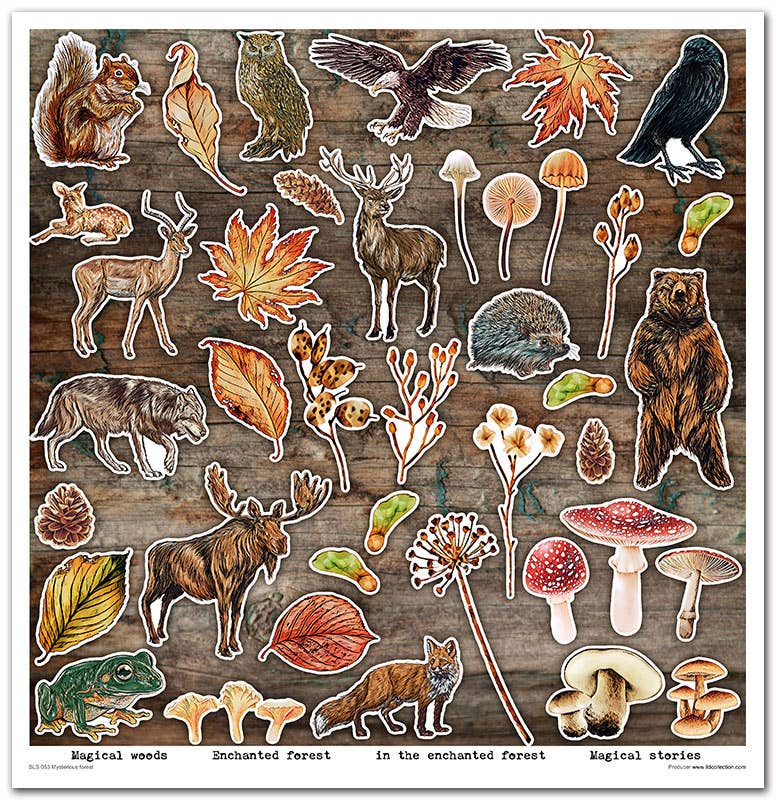 ITD: 12x12 inches paper pack MYSTERIOUS FOREST