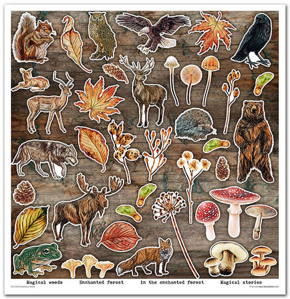 ITD: 12x12 inches paper pack MYSTERIOUS FOREST