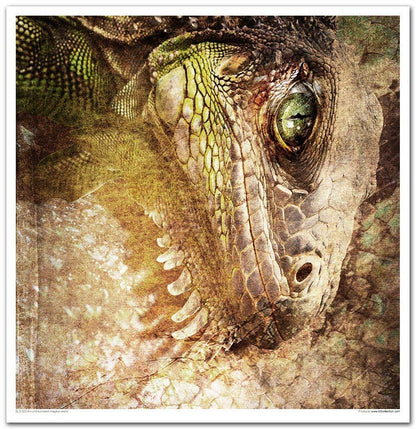 ITD: 12x12 inches paper pack AN UNDISCOVERED MAGIC WORLD