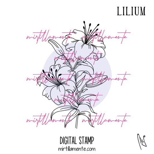 Nature: LILIUM - digital stamp